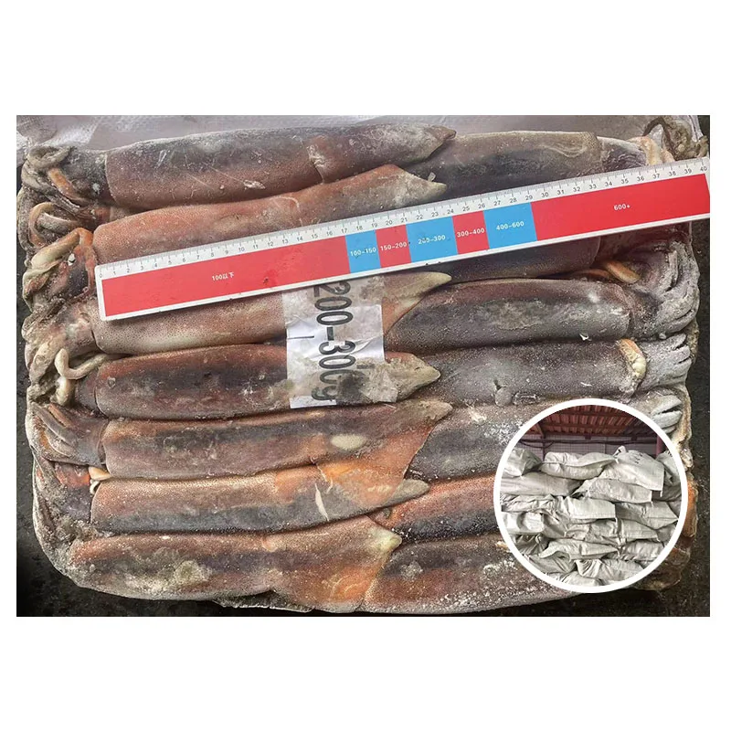 Manufacturer Wholesale Price Whole Round Raw Meat Seafrozen Argentina Frozen Illex Squid