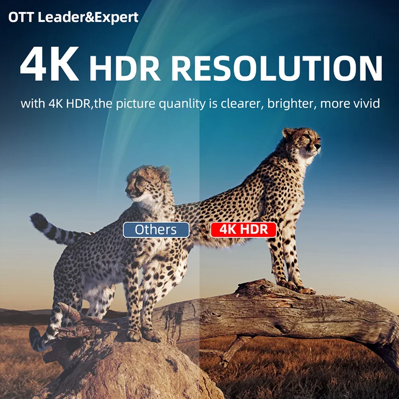 High Quality Smart Tv Dongle 2gb 16gb Android 9 Tv Stick