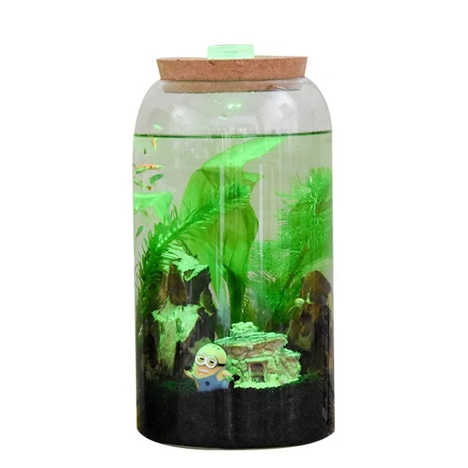 Боросиликатное стекло биодом тропический лес Террариум с пробкой