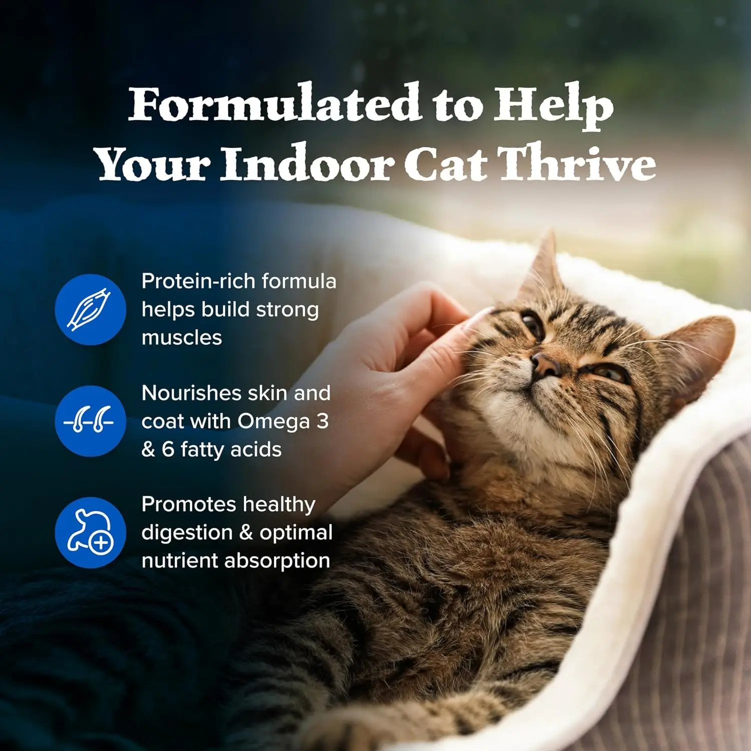 Customized Formula Pet Enhance Immunity Supplements Cat Dog Multivitamins Pet Nutrition Supplement