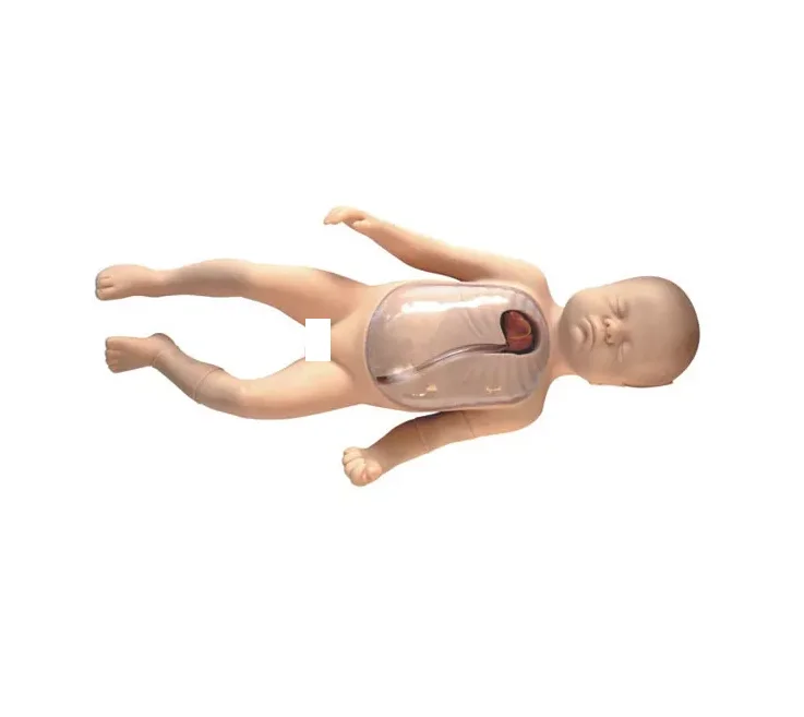 Factory medical science Neonatal peripheral central venous cannulation model Neonatal venous cannula model with best price