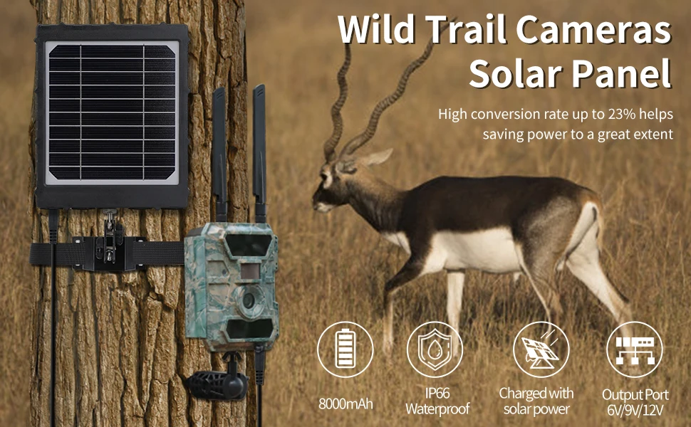 WG8000 Wildlife Trail Camera Solar Panel Build in 18650 Li Battery Output 6v  12v Solar Power Pack Charger for Spypoint Cameras