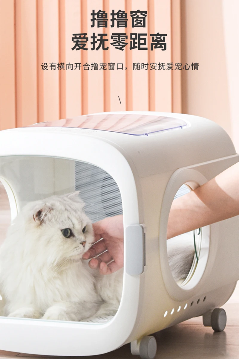 MT MEDICAL Economic Pet Dryer Groomimg Device Dog Dryer Cat Cabinet Dryer Equipment Veterinary Trimming Tools