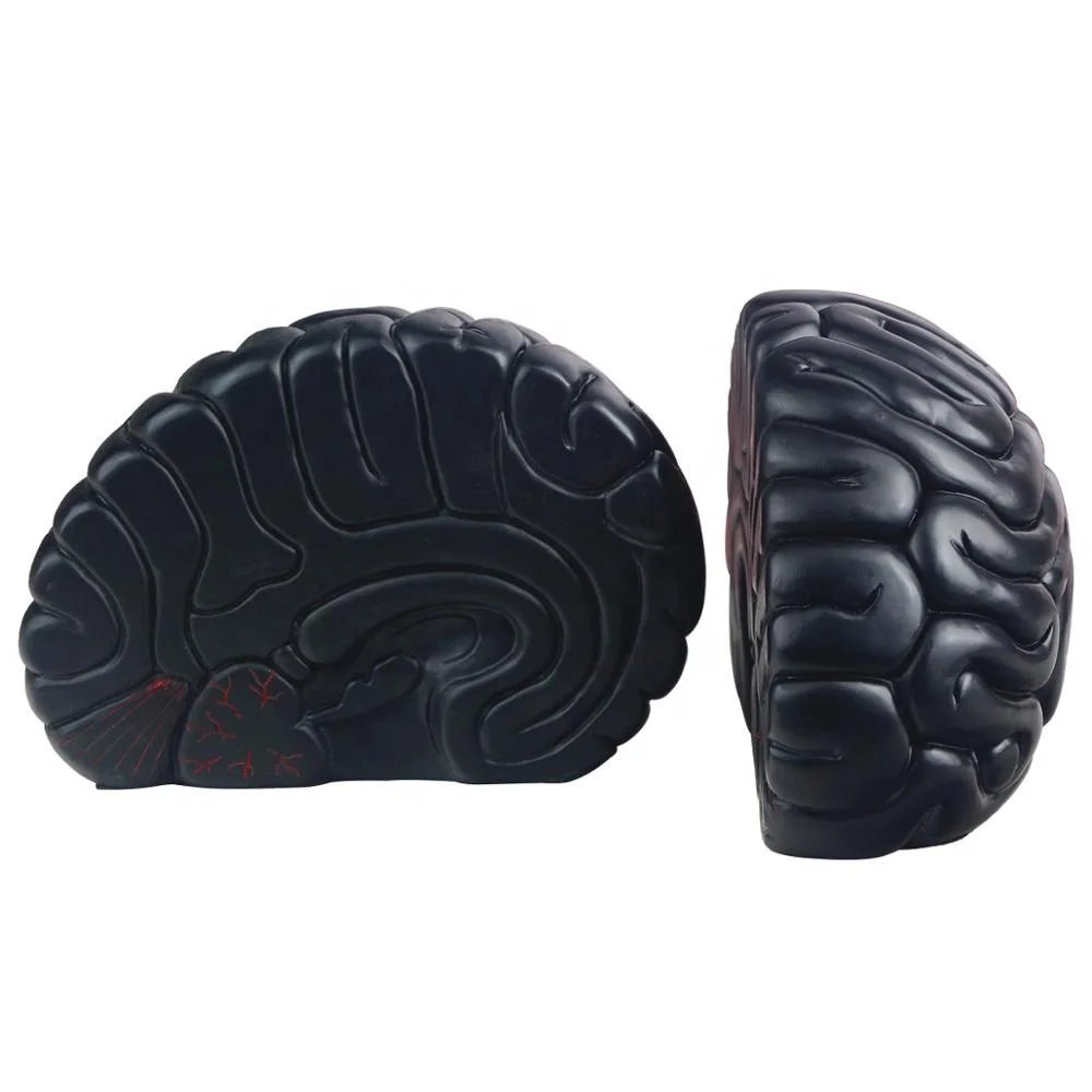 jinhuoba Bookends, Brain Decor Bookend Supports for Heavy Books, Home Decor Suitable for Office,