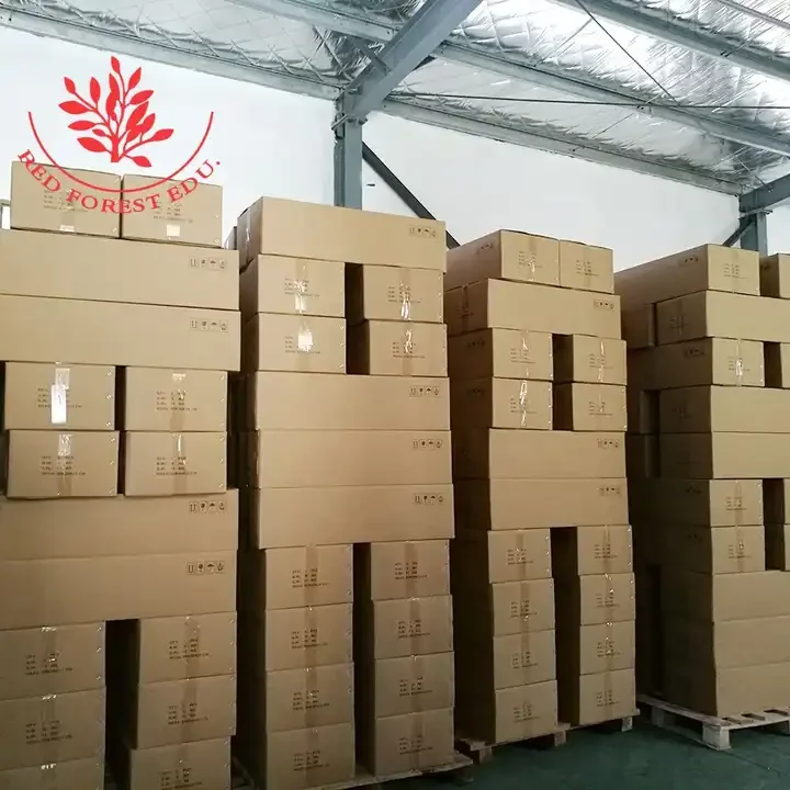 Anatomical Torso Model 85cm Torso With Internal Organs 27 Parts Medical 85cm Human Anatomy Torso Model