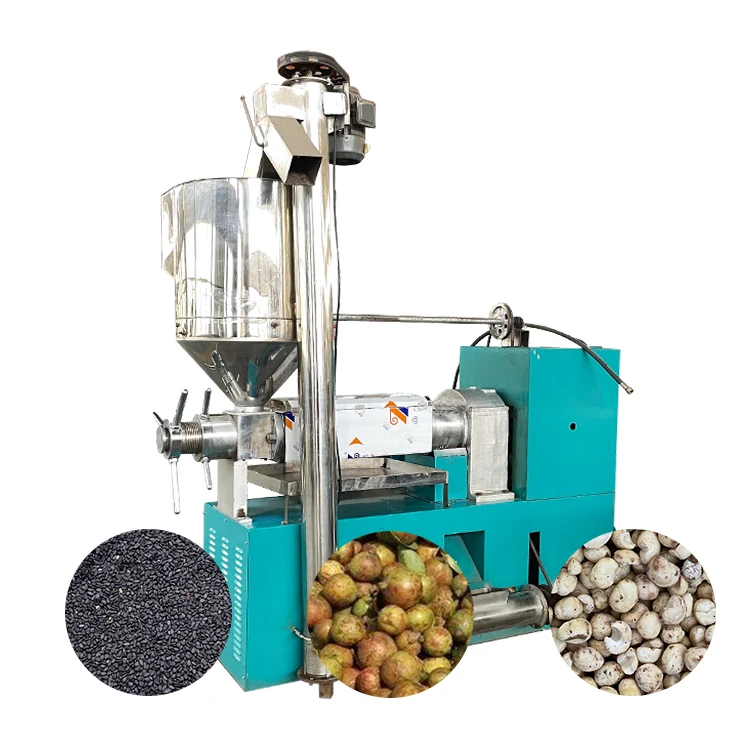 Commercial Automatic Avocado Copra Peanut Oil Cold Press Machine of Extraction Oil Olive
