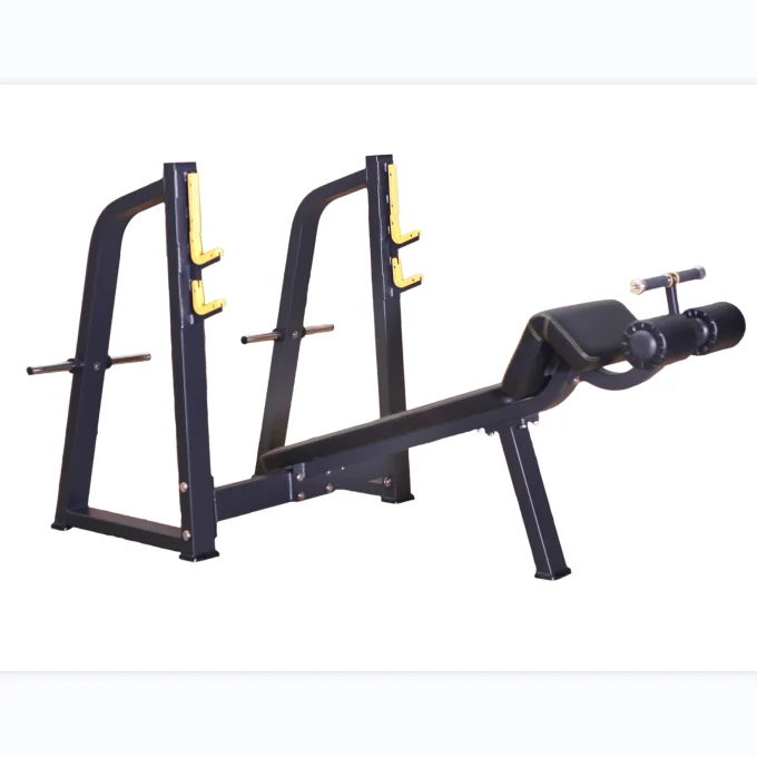 DFT-641 Decline Bench Rack Exercise Sport Decline Bench Commercial Gym Decline Bench