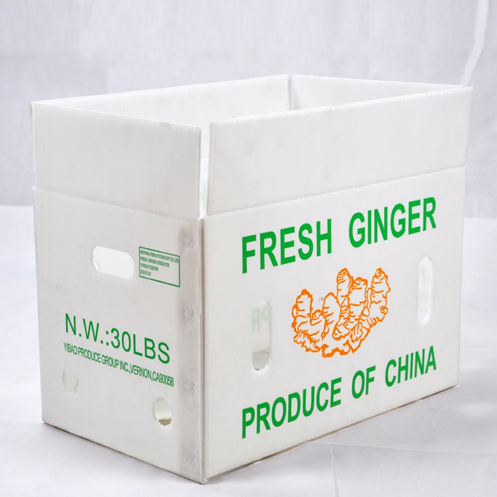 plastic box for vegetables pp corrugated box fresh ginger  Corrugated Plastic box