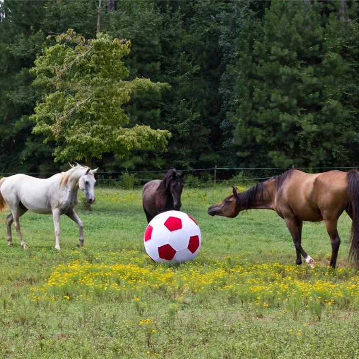 High quality Horse play Soccer Ball and ball cover with Pump Included