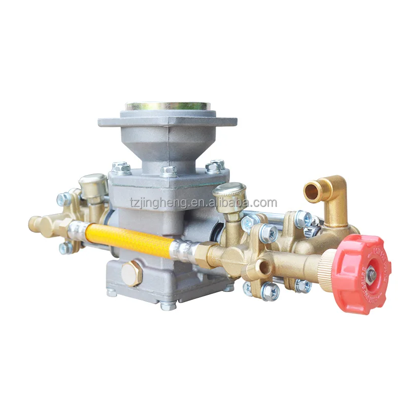 Gasoline Engine Sprayer Spare Parts Plunger Pump Head 139F 140F GX35 Twin Cylinder Strong Pressure Four Stroke Conversion Parts