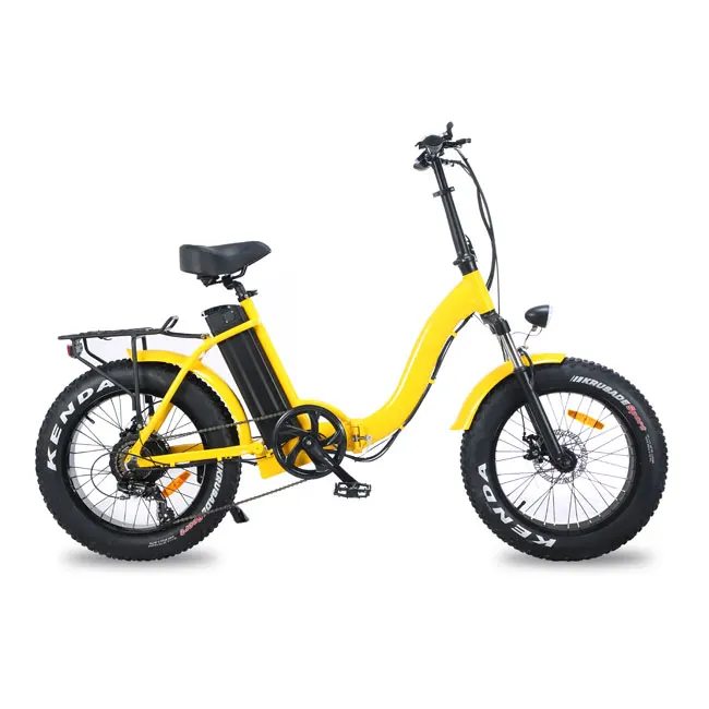 E Bicycle 750 Watt 20 Inch Fat Tire Ladies Folding Electric Bike With Lithium Battery and Pedal Assist System