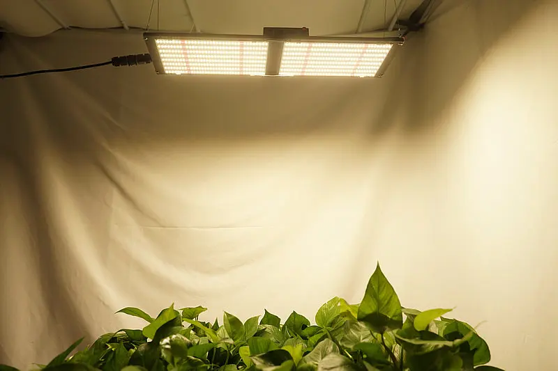 High Power and Energy-saving 2.8umoL/j Board Grow Light Samsung LED Chip with 660nm Hydroponics Led Grow Light 240w