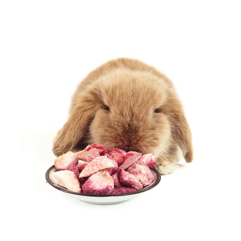 Real Fruit for Birds and Small Animals food - Rabbits.dehydrating machine fruit drying vegetable guinea pig food