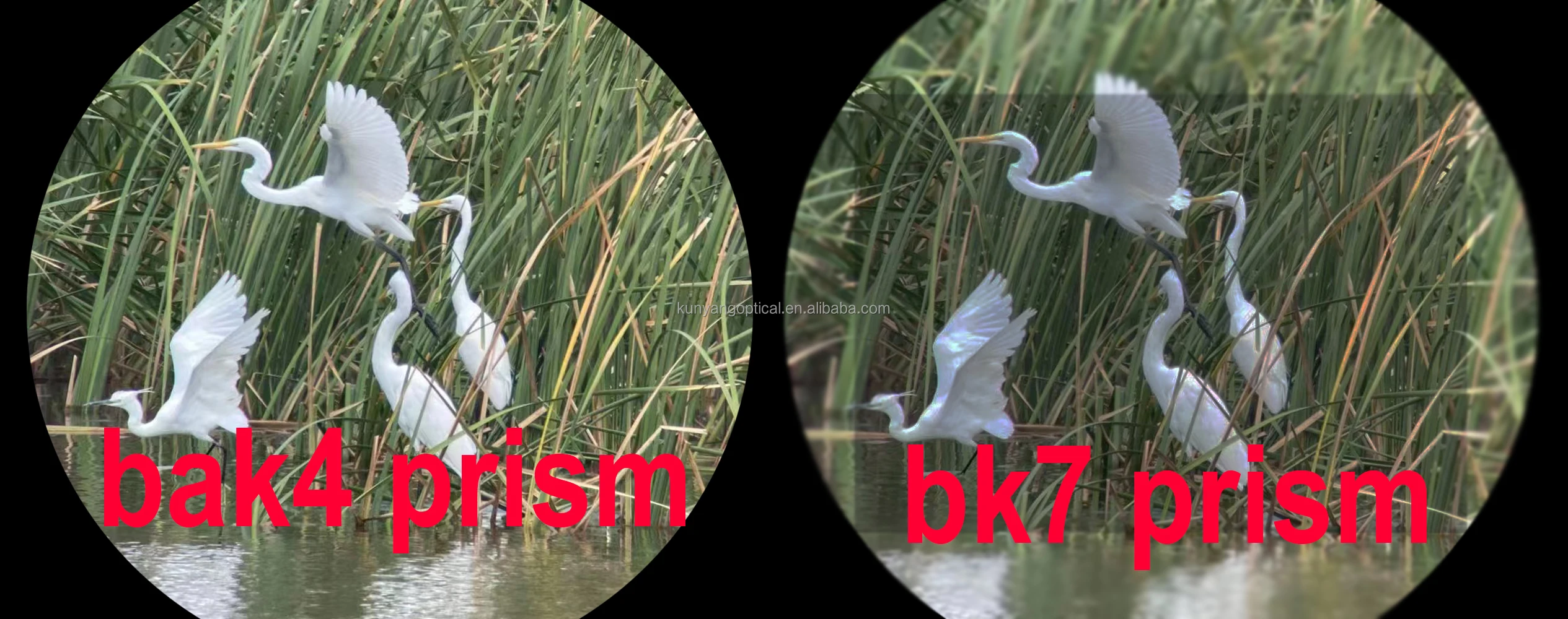 20x70 sharp Binoculars for Adults High Power Easy Focus bak4 high bright with Low Light Vision good optical Binoculars for Bird