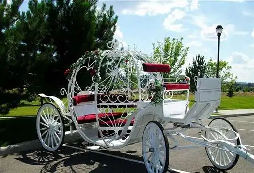 Cinderella Pumpkin Wedding Horse Carriage For Equestrian Training Equipment Saddle Harness