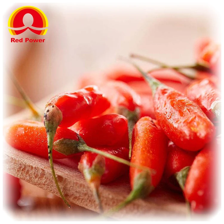 Свежие волчьи ягоды ningxia Red Power QIZITO по цене волчьих