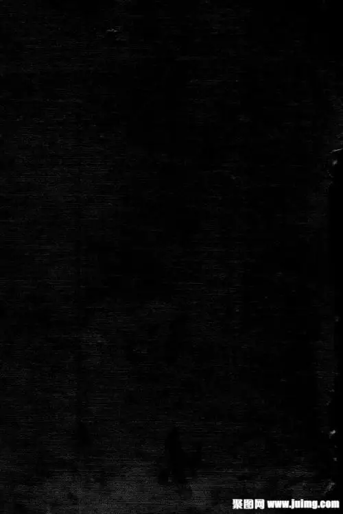 Поршень для туалета