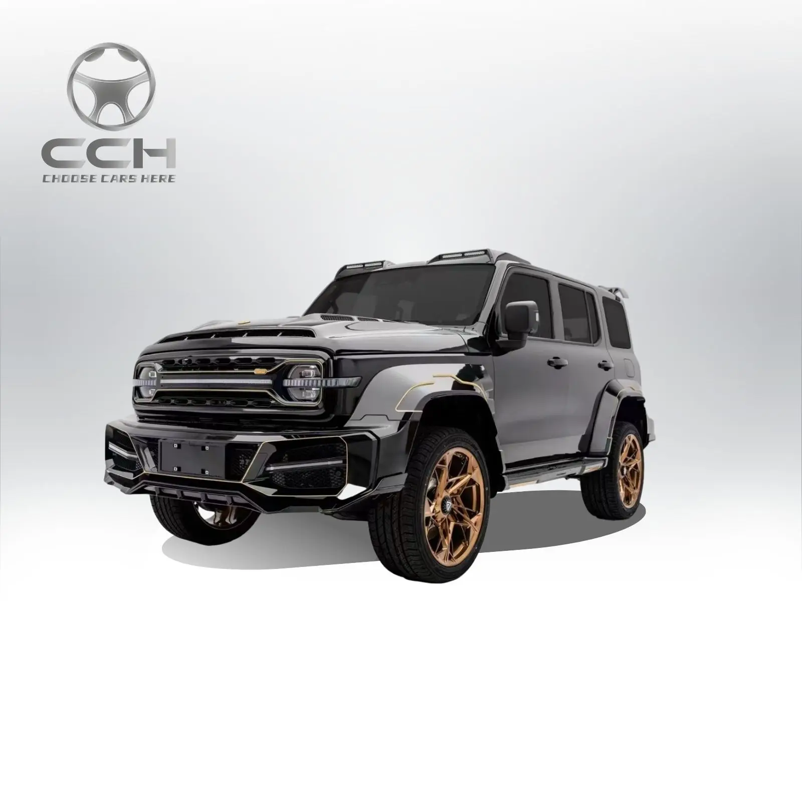 Deposit Support Retrofit Great Wall Automobile Tank 300 500 2.0T 2023 Compact Suv Sedan New Cars China Sale