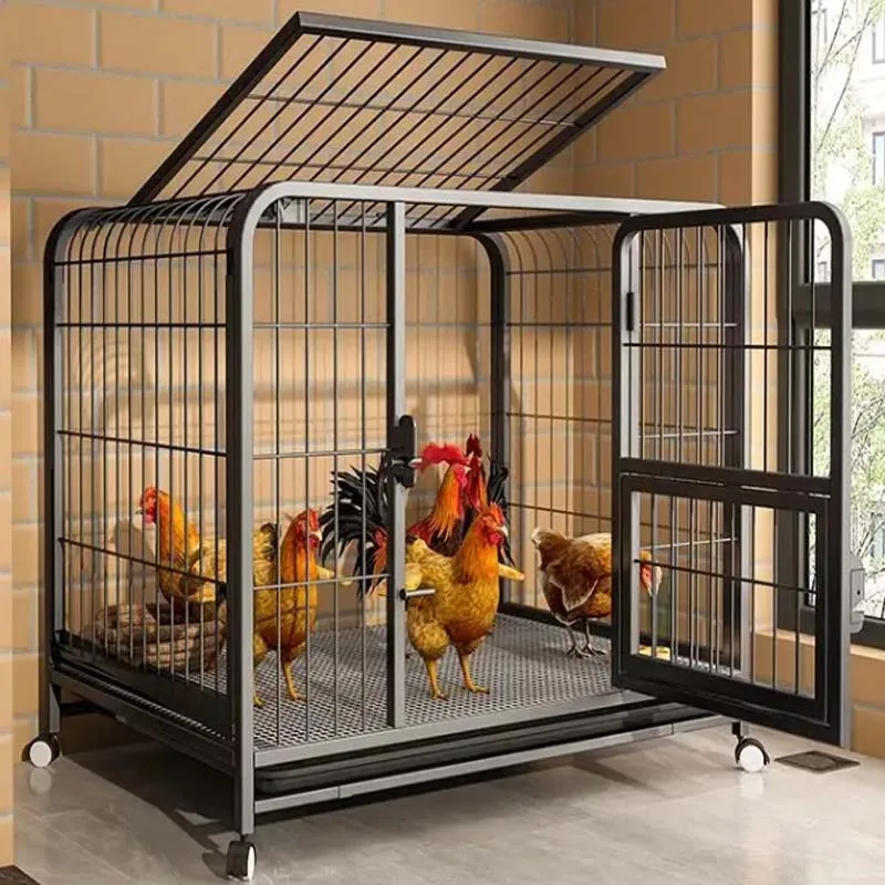 Home Use Breeding cage chicken coop chicken nest automatic manure cleaning duck cages barbed wire outdoor balcony poultry cage