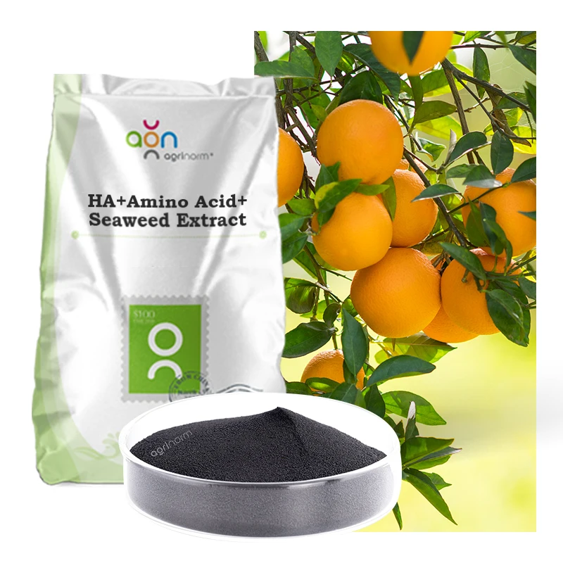 Agricultural chemical advanced nutrients fertilizer flower organic granule fertilizer prices