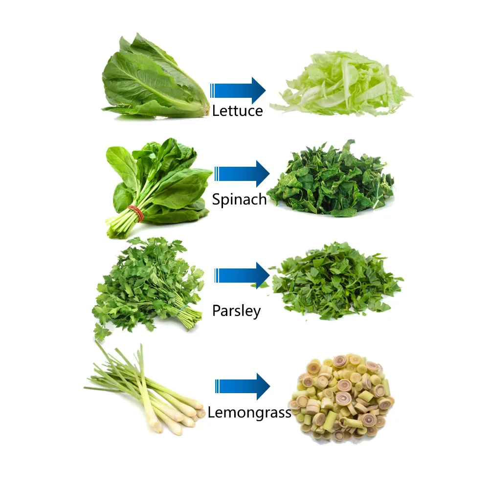 CHD 200 Wide Conveyor Belt Vegetable Spinach Chara Parsley Cutter Machine