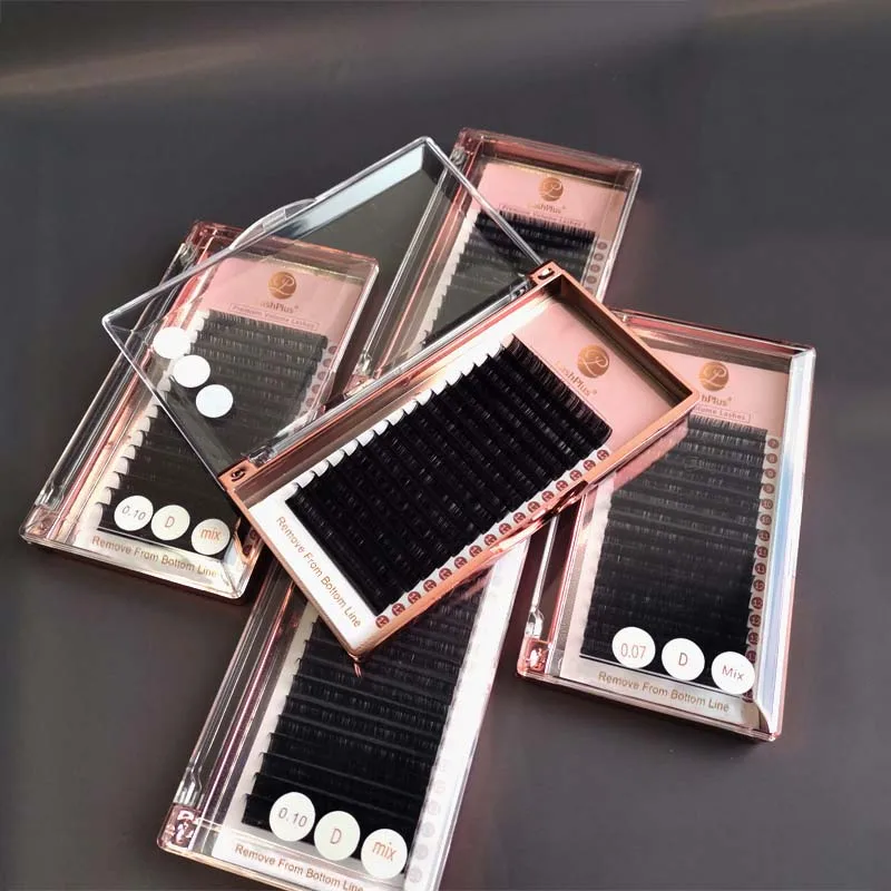 LashPlus False Eyelash Factory Supplies Classic Eyelash Extension Trays Human Hair Quality Lashes