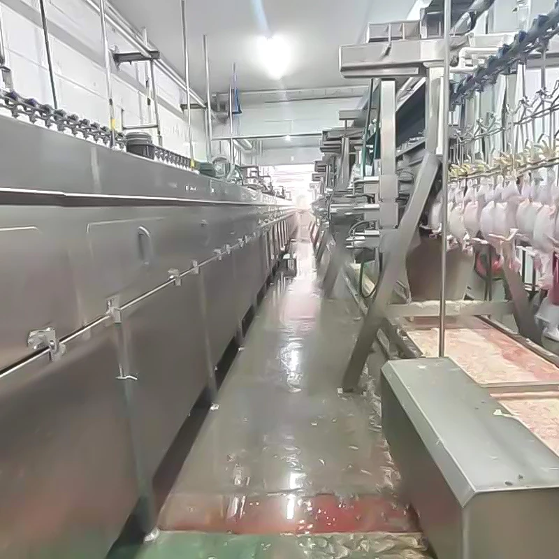 AICN new arrival poultry slaughter machine/chicken slaughtering equipment production line