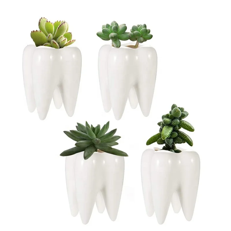mini Succulent Pots Cute Cactus Plant Container Tooth Ceramic Planter for Home Decor Creative Pen/Toothbrush Holder