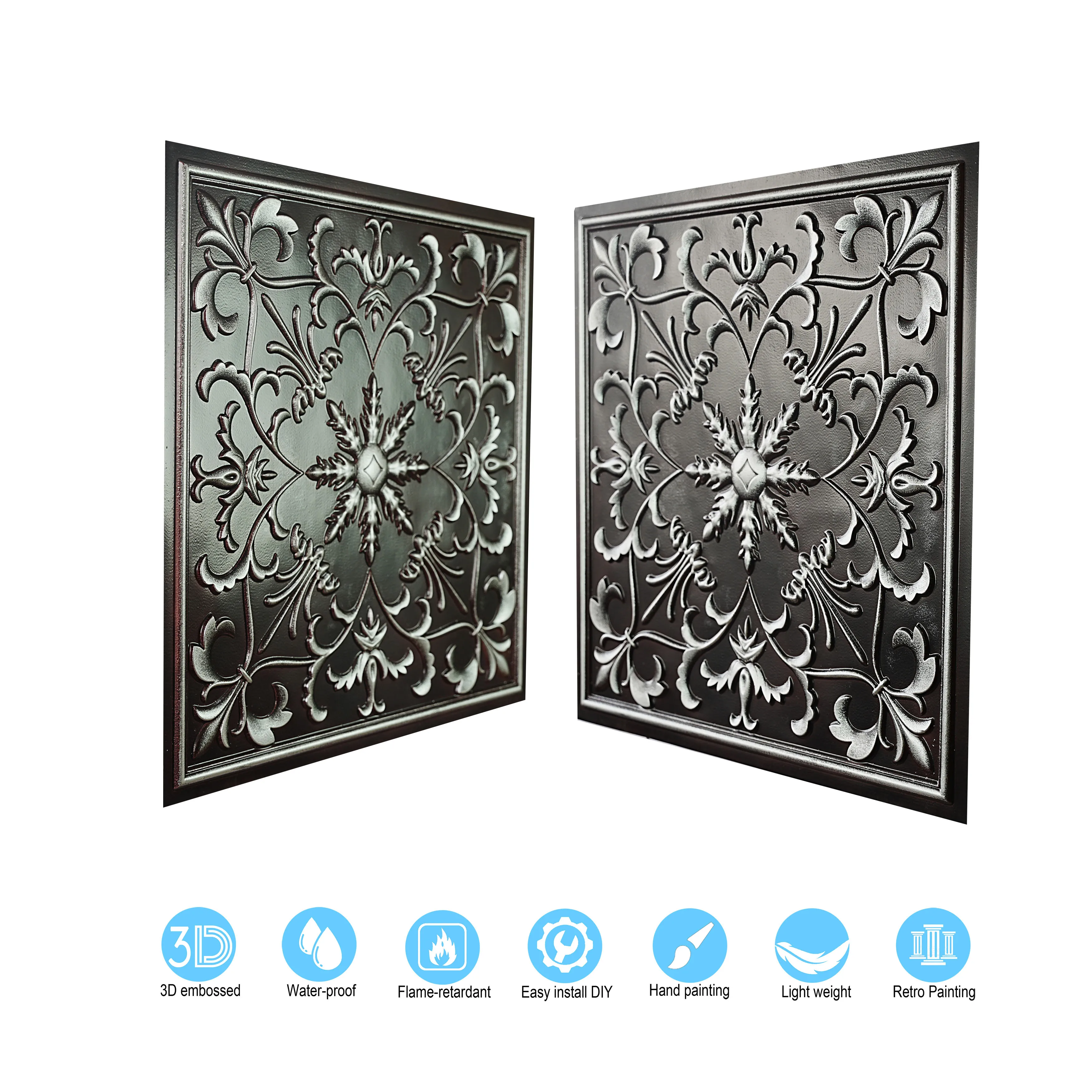 PL70 T silver side.jpg