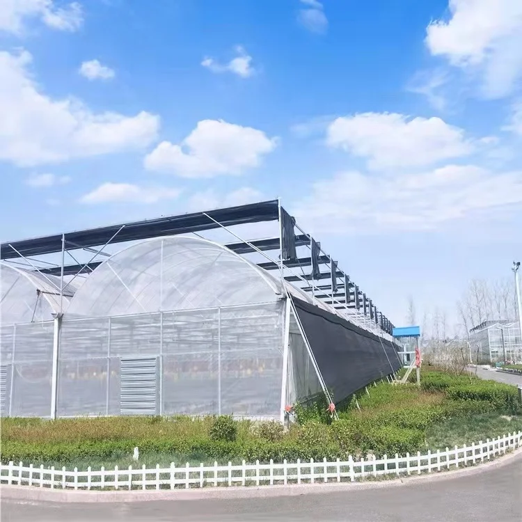 Polycarbonate Greenhouses with Agriculture Equipment and Tools for Agricultural Crops planting