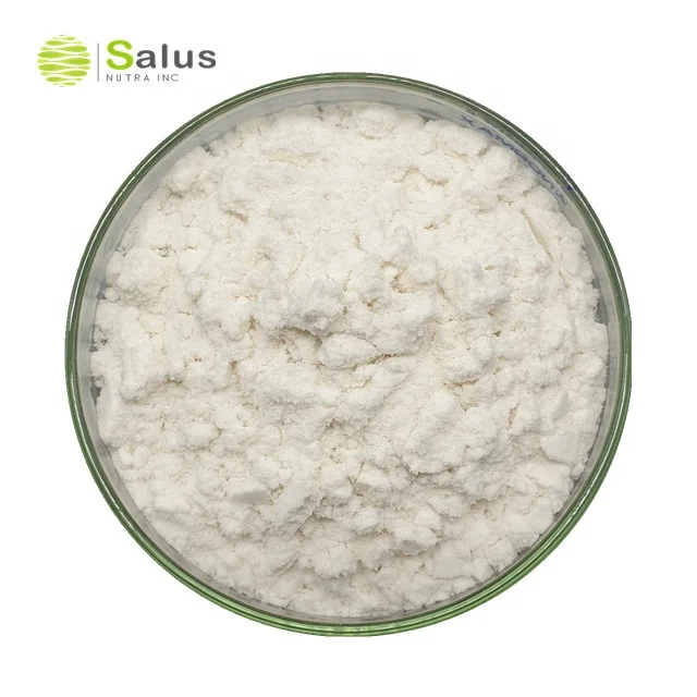 Top Quality Invertase Enzyme