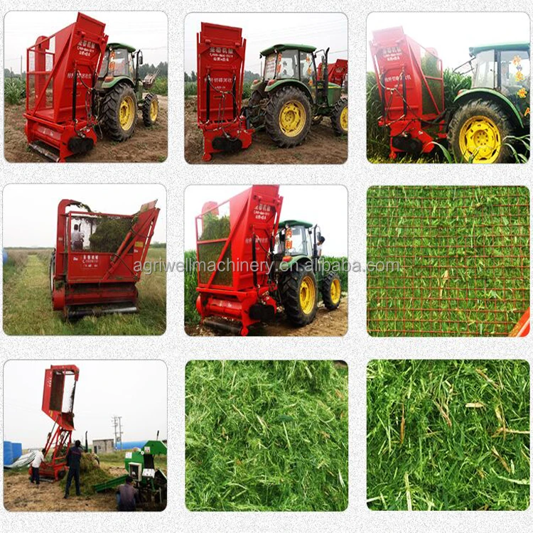 Tractor Drive Type grass harvester and cutter grass cutter silage harvester for animal