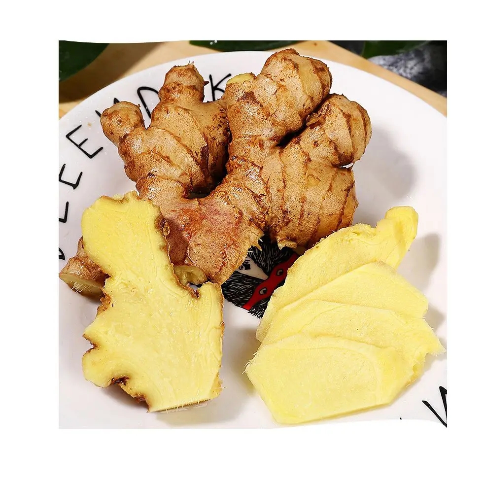 
Sweet Fresh Holland Potato Seeds 2021 Price 