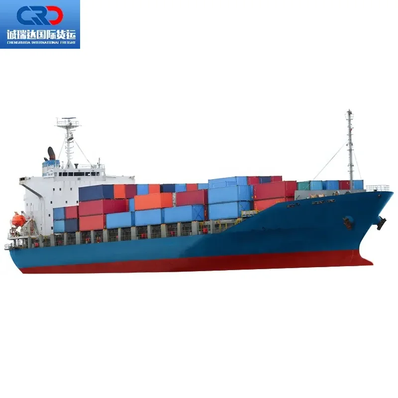 Logistic Service DDP Cargo Ship Agent UPS DHL Express Sea Shipping Air Freight Forwarder China to Spain USA Mexico CA