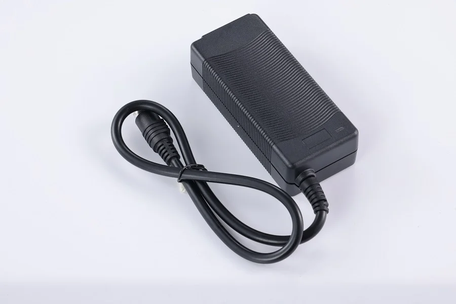 Guangdong 12V 10Ah Electric Bike Battery Charger with Optional Input Plugs