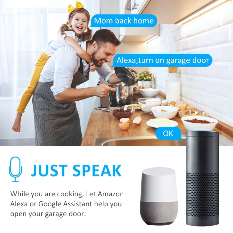 Tuya Wireless WIFI Remote Control Smart Garage Door Opener Supports Alexa and Google Home Voice Control