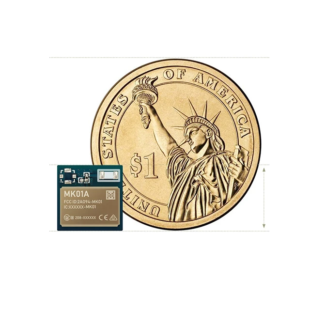 Nordic nrf52832 Ultra-small size 10mm x 10mm programmable bluetooth module for IoT solution