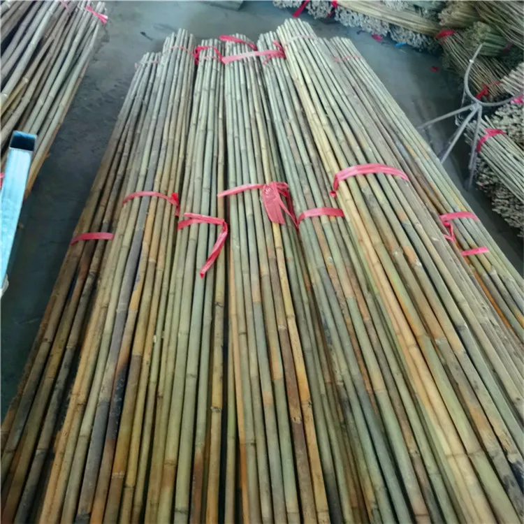 plastic coated bamboo pole for support or you want