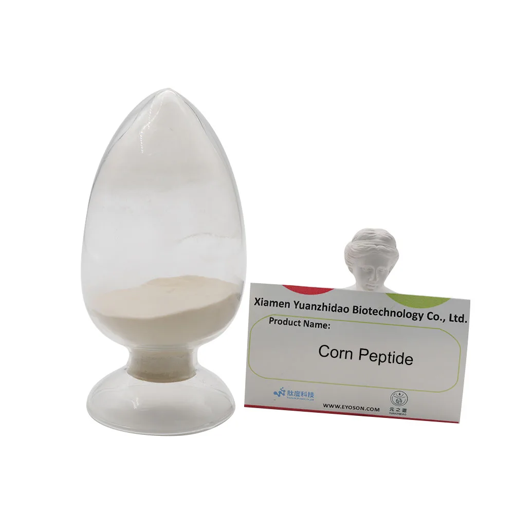 Corn Peptide Factory Hot Sale 100%  Natural Pure Corn Protein Peptide Powder  Water Soluble Corn Peptide