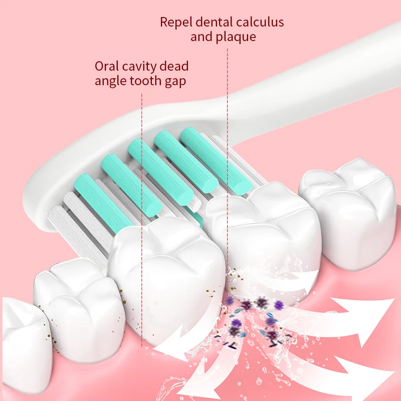  Chinese Internet celebrity electric toothbrush with OEM color two head ultrasonic vibration USB