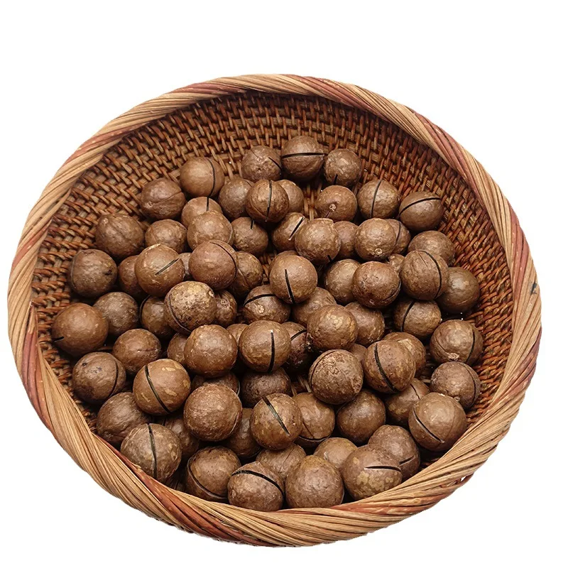 High Quality Macadamia Nuts - Roasted Macadamia - Organic Macadamia Nuts