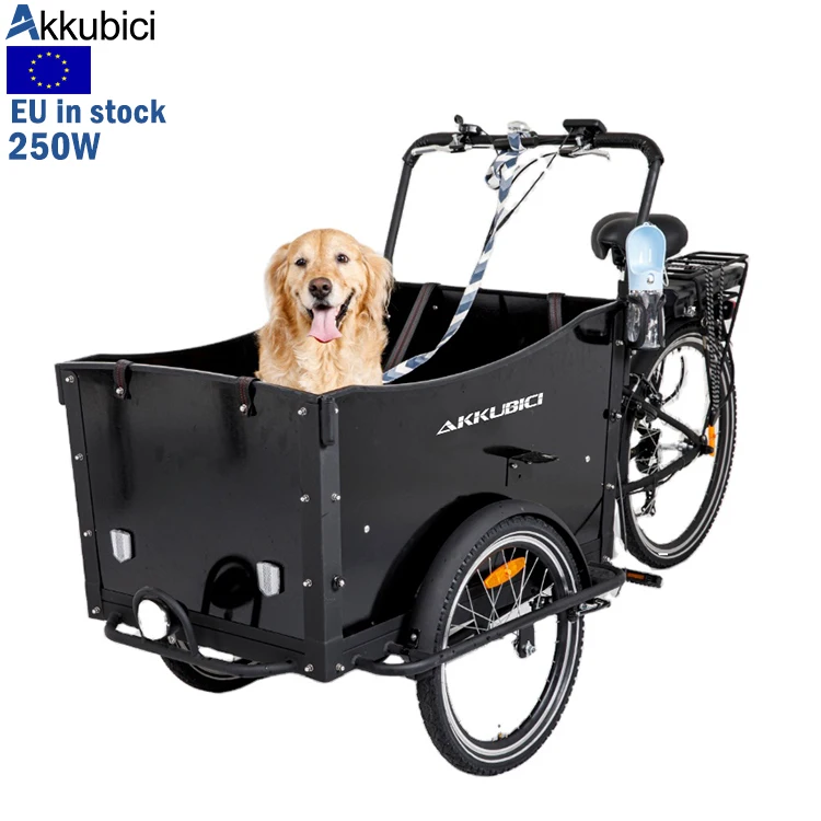 Akkubici eu warehouse three wheel e bike 3 wheeler 250w 3 wheel ebike for adults three-wheeled electric bikes for delivery cargo
