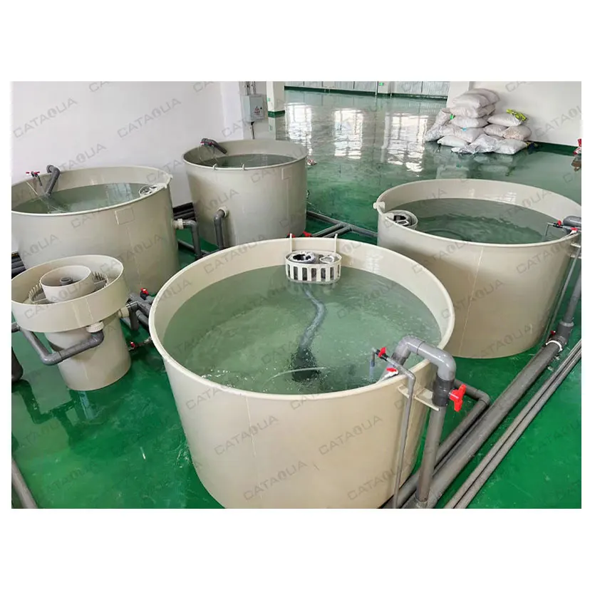 CATAQUA RAS Aquaculture Systems For Shrimp Farm Equipment Vannamei Shrimp Farming System
