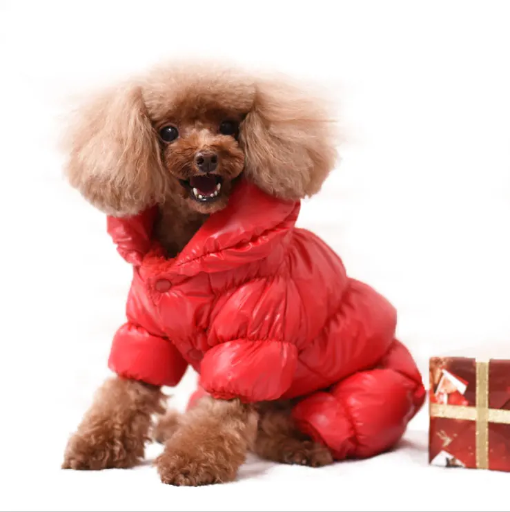 Factory Wholesale Luxury Pet Clothes Fashion Popular Dog Winter Jacket For Puppy Teddy