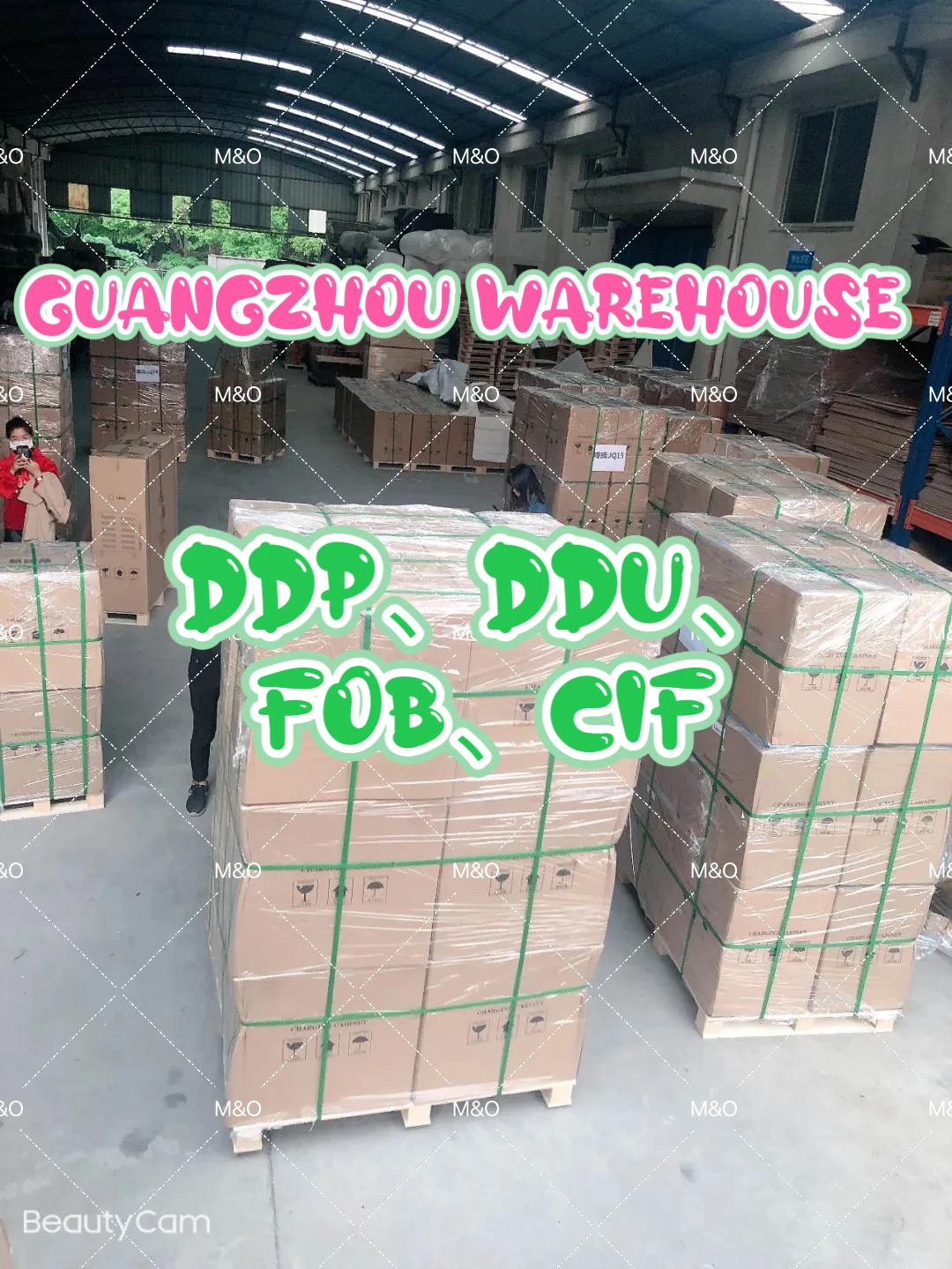 Cheap Sea shipping rates direct flight Ocean shipping ddp from China to Singapore logistics freight forwarder