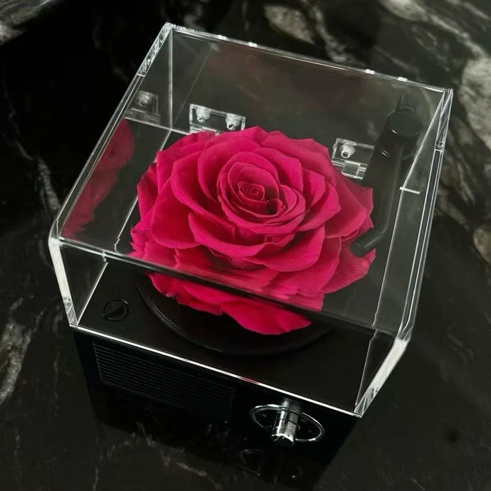custom music box phonograph christmas music box preserved roses music box romantic gifts for women