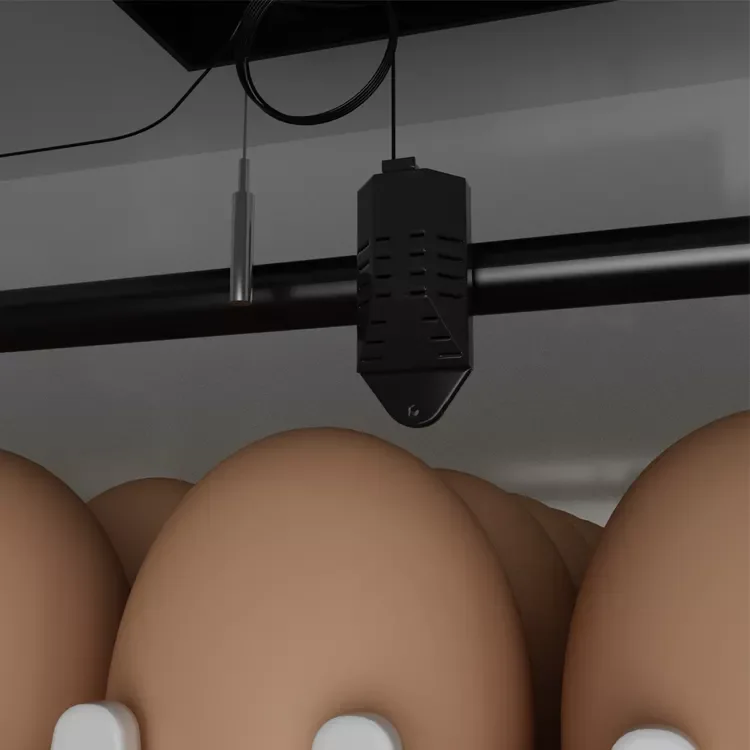 Incubadora de huevos fully automatic industrial large chicken egg incubator 5000 for sale in Canada