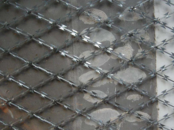 airport Wire Mesh Factory Electro Hot Dipped Galvanized Welded Iron Copper Steel wall Welding Gauge Feature Flood
