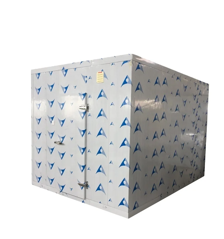OMT Cold Room 10CBM Walk in Freezer Cold Storage Room for Vegetables Fruits Fish 3Ton Ice Panels Price