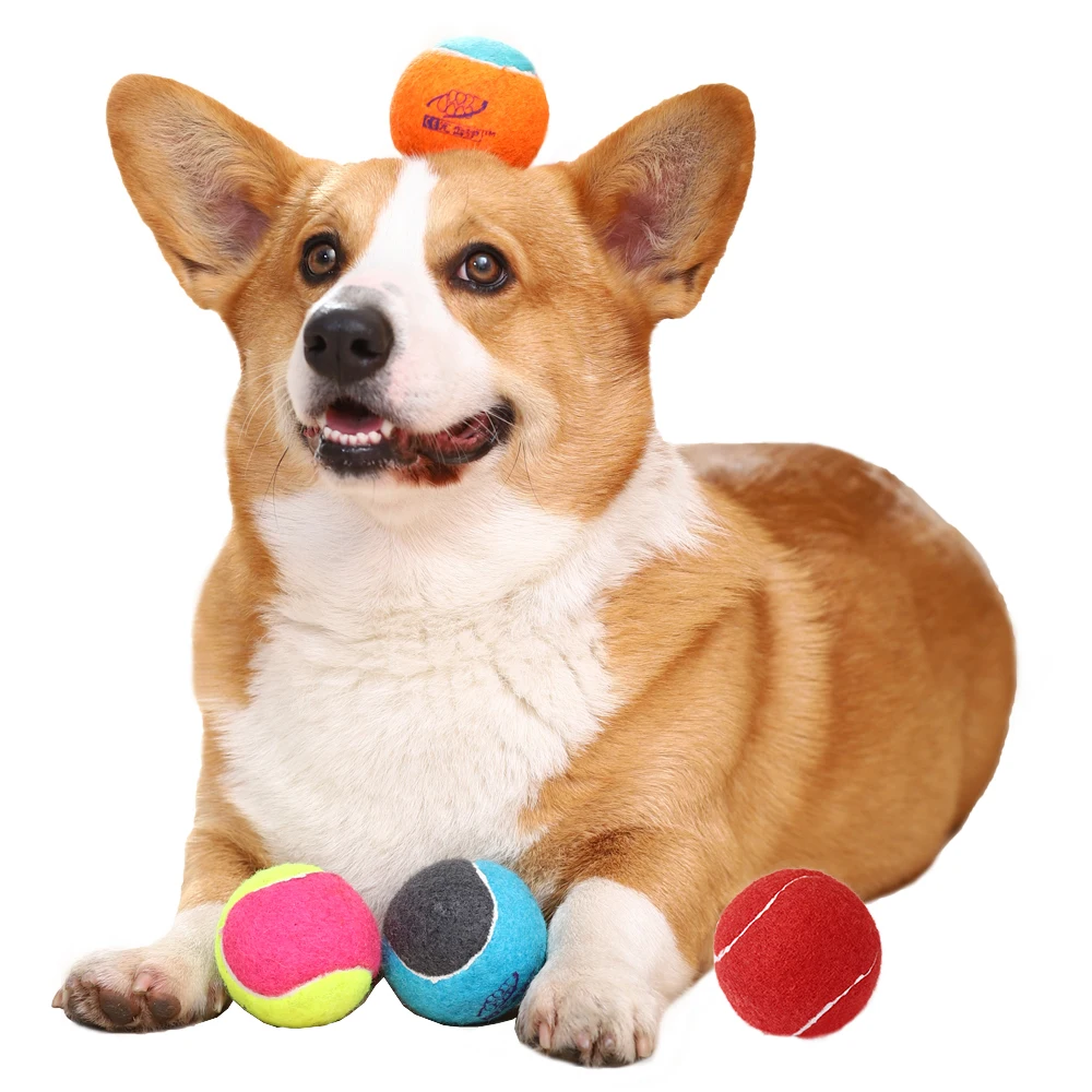 2022 New Style Hoopet Interactive Chew Resistant Floating Dog Toys Bouncing Ball Tennis